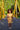 PLUMETI AMARILLO - PLUMETI SKIRT