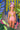JARA - PALM ONE PIECE